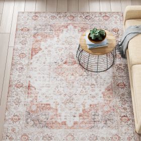 Traditional Persian Style Washable Boho Light Grey Red Area Rug (size: 4 ft x 6 ft)
