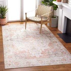 Traditional Persian Style Washable Boho Light Grey Red Area Rug (size: 3 ft x5 ft)